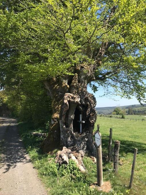1833 Ardennes Farm Between Bastogne And Houffalize Exteriör bild